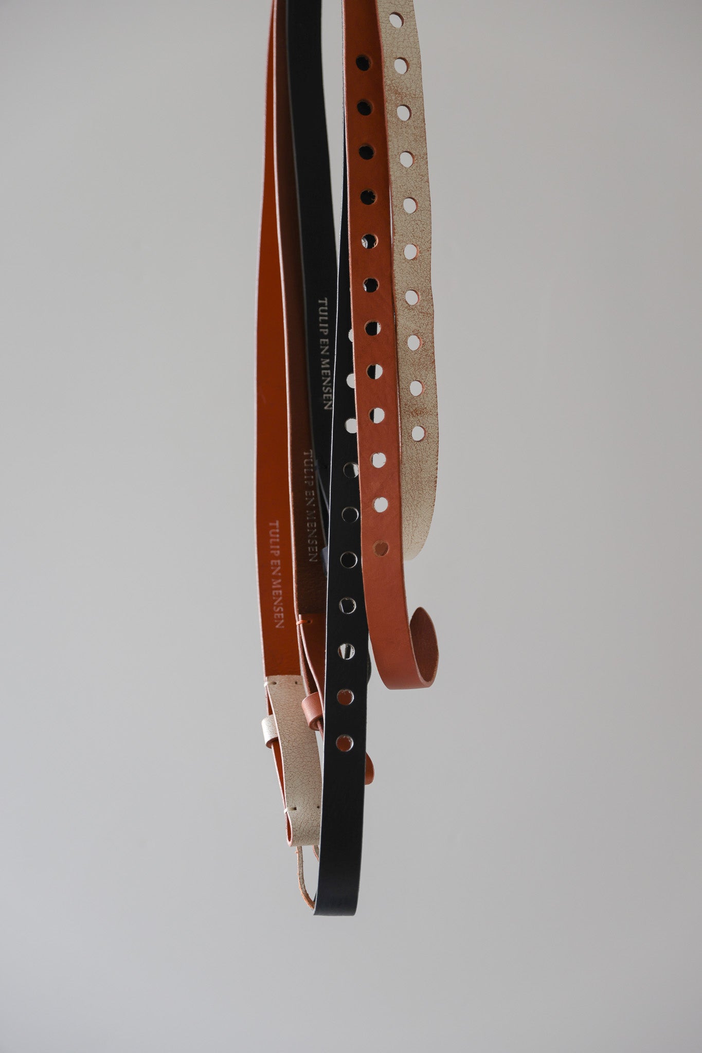 Loop belt / choice color