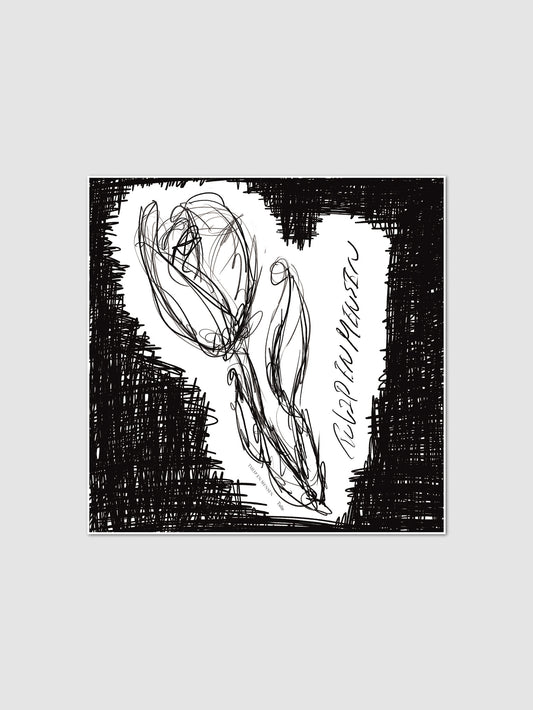 Tulip / White