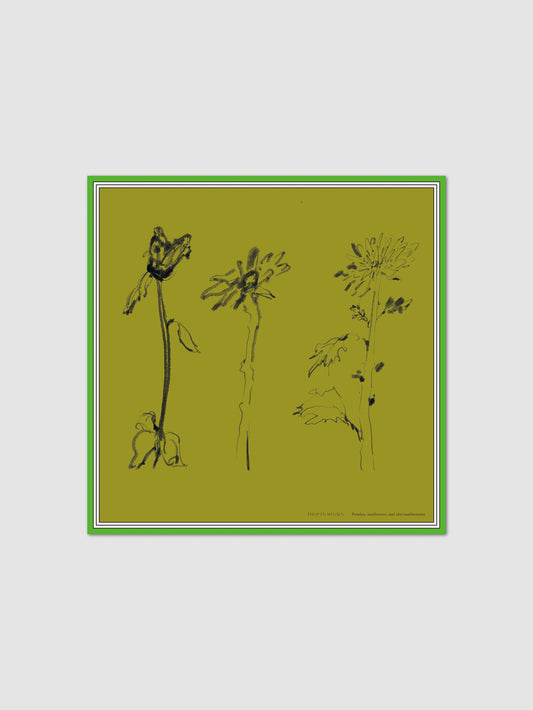 Peonies, sunflowers, and chrysanthemums / Olive