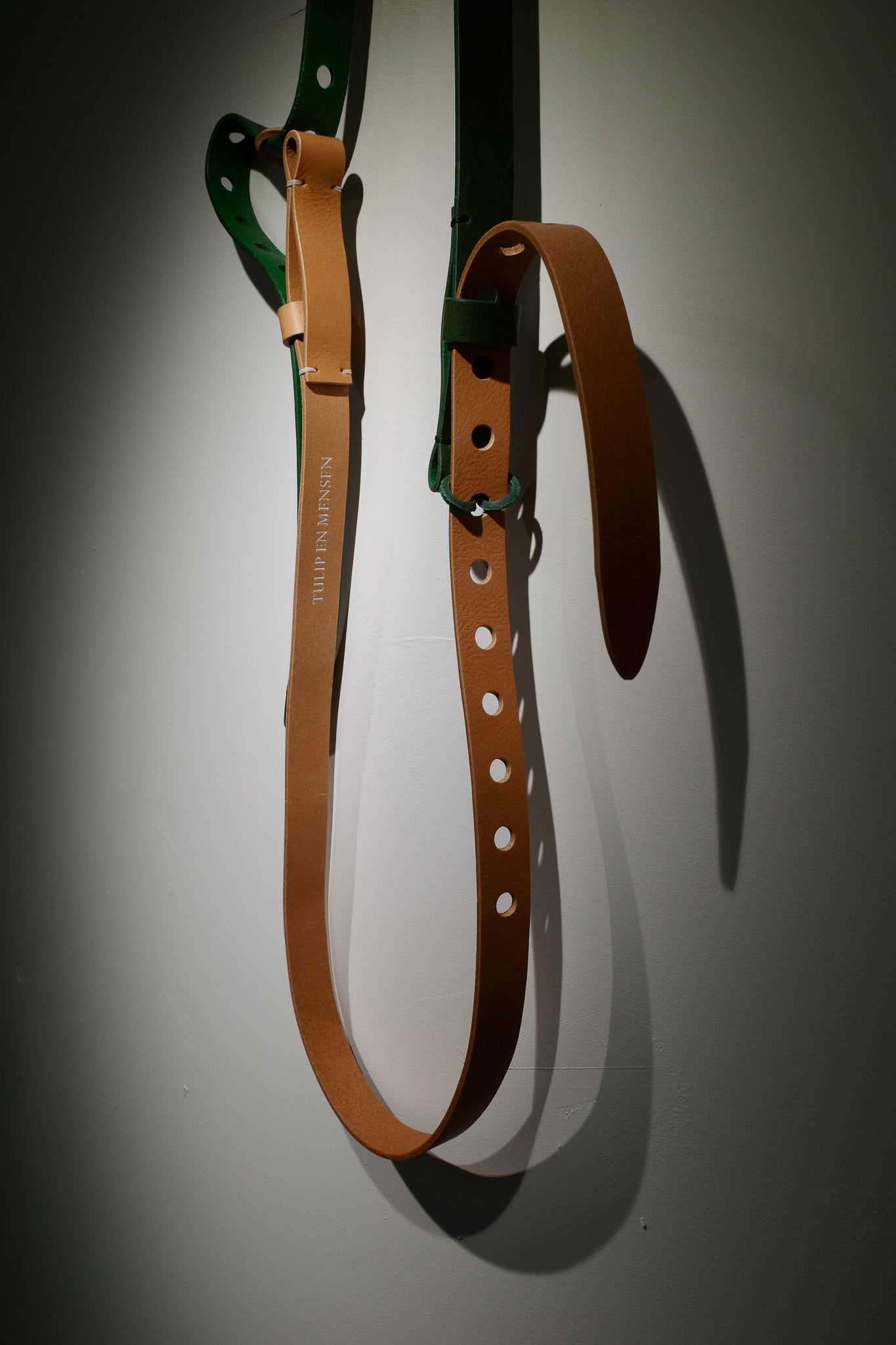 Loop belt / choice color