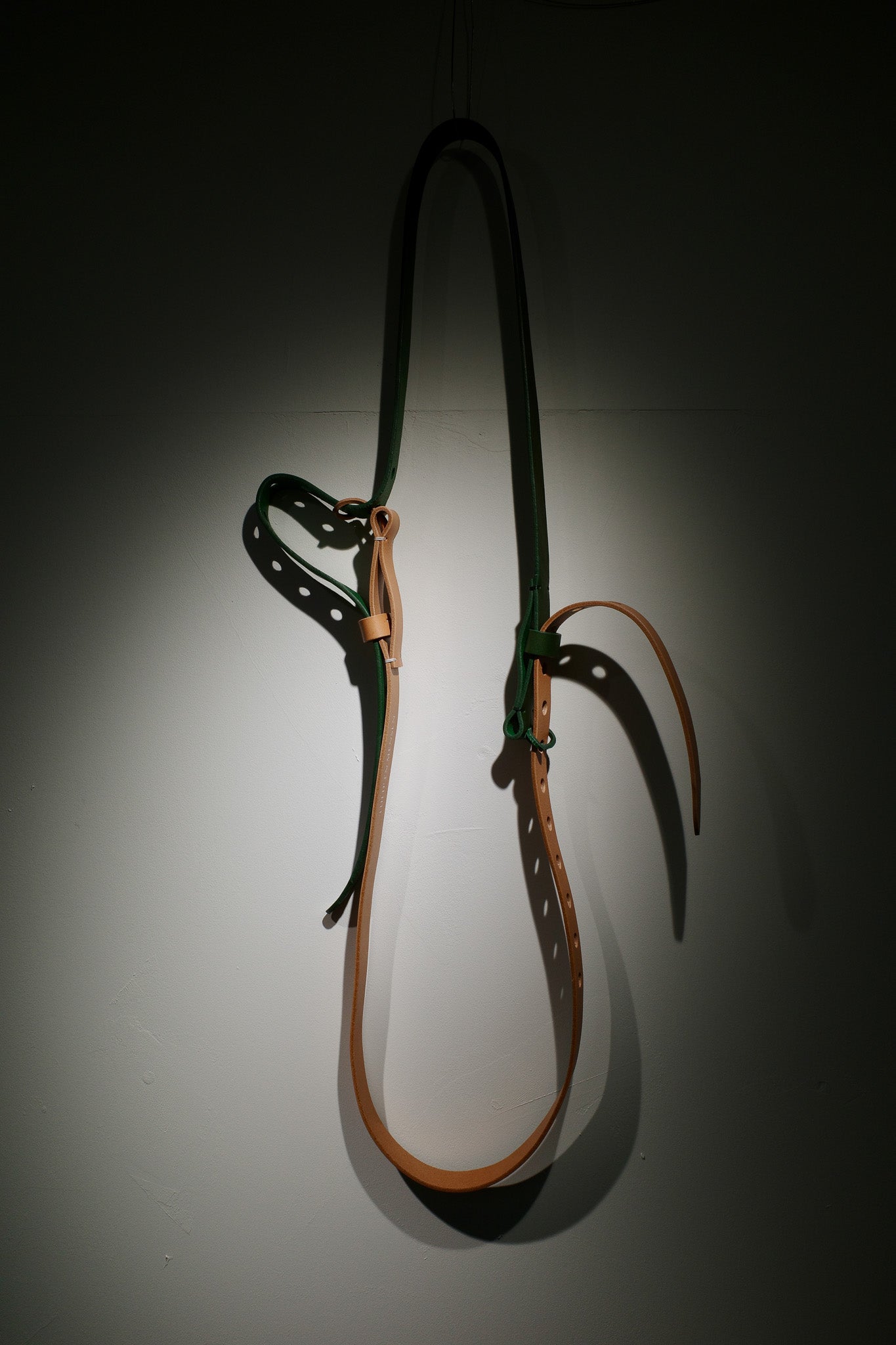 Loop belt / choice color