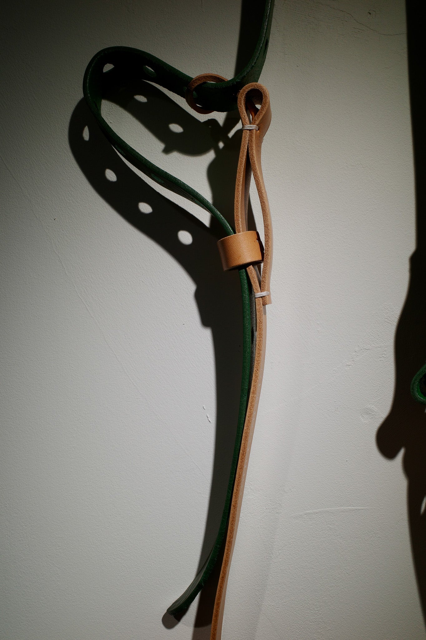 Loop belt / choice color