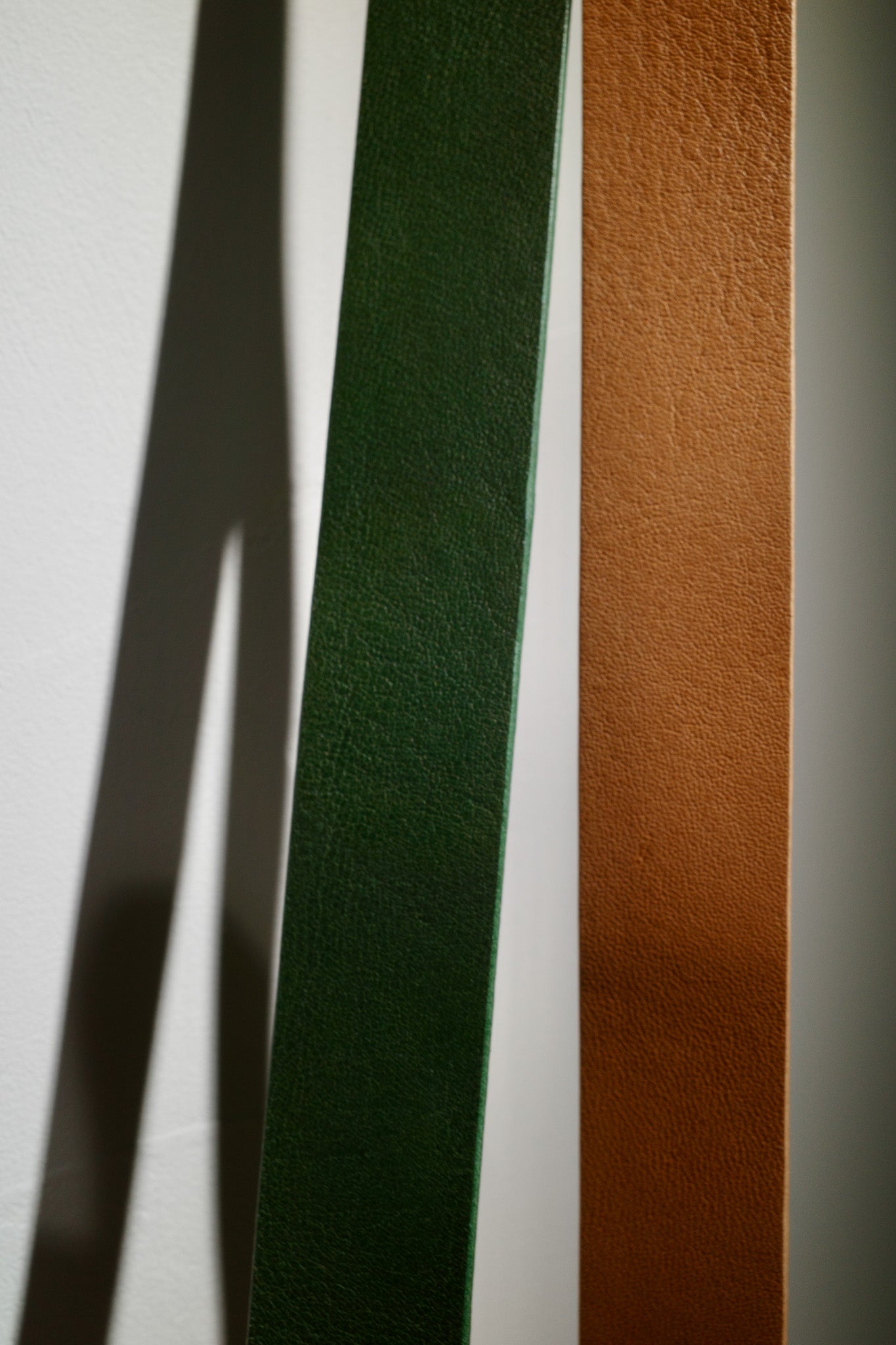 Loop belt / choice color