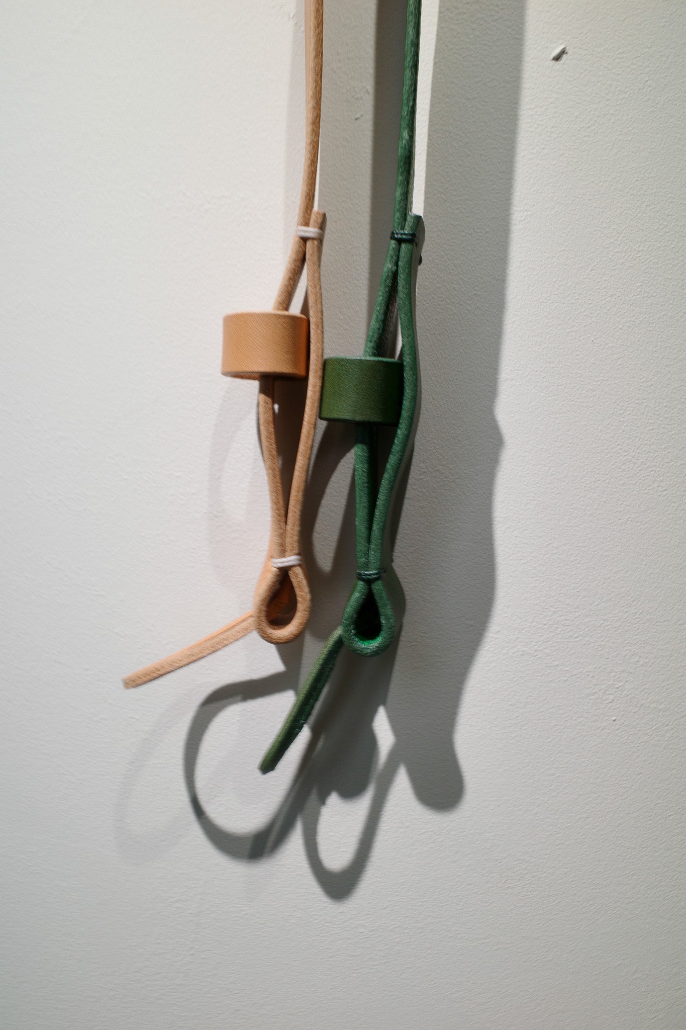 Loop belt / choice color